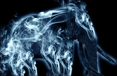 Si tu pouvais choisir ton Patronus, ce serait...