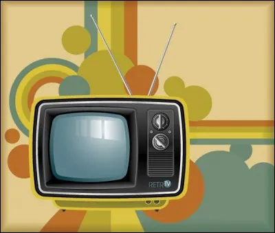 En 1973 est diffusé une série télévisée, laquelle ?