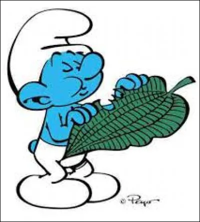 Les Schtroumpf raffolent de cette plante qui donne de beaux fruits rouges. Ces trois noms la désignent. Mais un seul est utilisé par les Schtroumpfs. Lequel ?