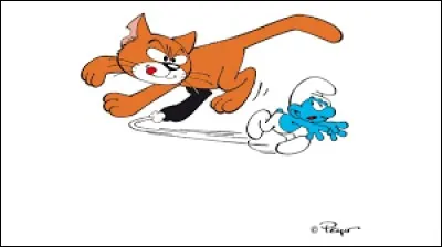 Comment le chat de Gargamel s'appelle-t-il ?