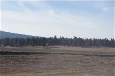 De quoi se nourrit le clan du Vent ?