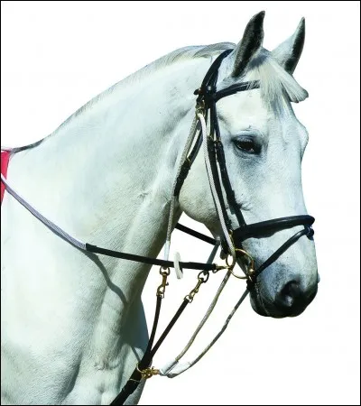 Quel est cet enrênement ?