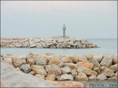 Les enrochements sont des milieux communs dans les ports. Parmi ces oiseaux, lequel est-on susceptible de trouver l'hiver dans ce type de milieu ?