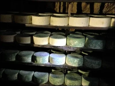 Le fromage de "Cabrales" est un fromage asturien à la pâte :