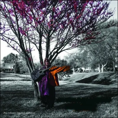 En 1970, elle chantait " Look what they've done to my song, Ma" :