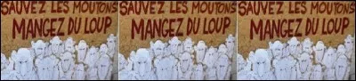On les dit galeuses, parfois égarées, folles si elles se confessent au loup, toujours tondues, clonées depuis peu, mais que leur arrive-t-il un jour ?