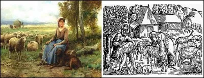 Que représente le nom de "Bergère de France" ?