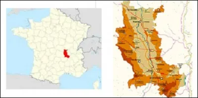 Si je vous dis que 5 867 Berger sont nés en France entre 1891 et 1915, dont 444 dans la Loire, je parle de la population de chiens de berger.