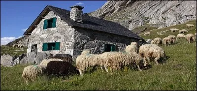 Que sont les bergeries d'estive ?