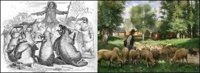 Quel animal est le pauvre Robin, ainsi désigné, dans une fable de La Fontaine ?