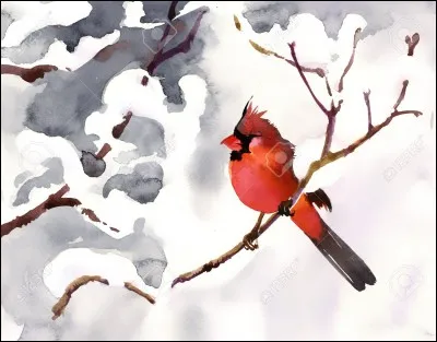 Comment reconnaît-on un cardinal ?