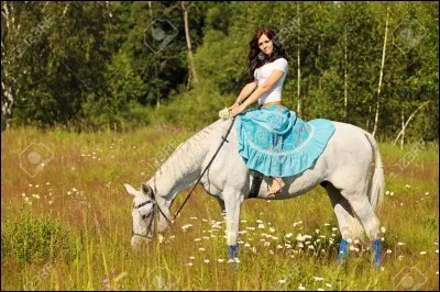 Coche la définition de l'assiette en équitation.