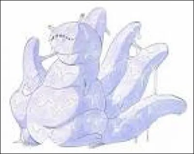 Combien de queues a-t-il ?