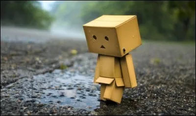 Vivrais-tu plus en colonie ou seul ?