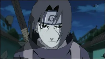 Que signifie "itachi" en japonais ?