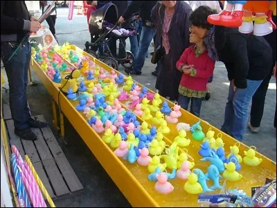 Où peut-on aller à la pêche aux canards ?