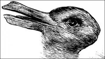 Combien d'animal voyez-vous sur l'image ?