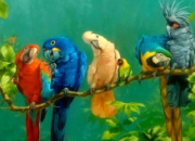 Quiz Les oiseaux dans les expressions - (1)