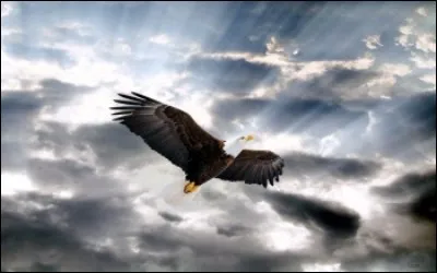 Mon père m'a donné 50 euros, il est :