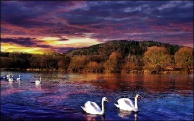 Cette femme est innocente comme la blanche colombe. Elle est :