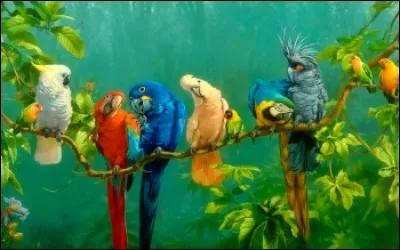 Complétez - Il fait un froid :