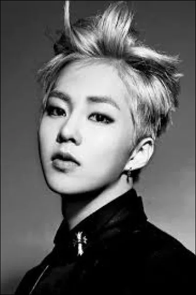 De quel membre des EXO s'agit-il ?