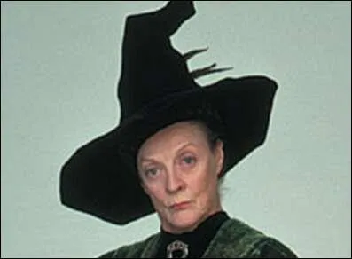 C'est le professeur :