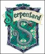 Qui est le directeur de Serpentard ?
