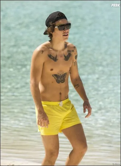 Pourquoi Harry s'est-il tatoué un papillon sur le torse ?