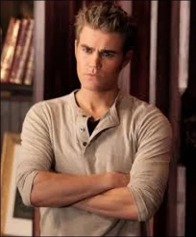 Qui joue le rôle de Stefan Salvatore ?