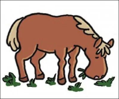 Quel est ton repas préféré ?