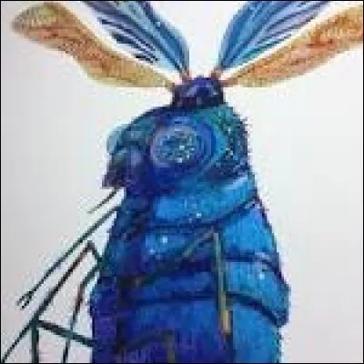 Comment appelle-t-on cette créature ?