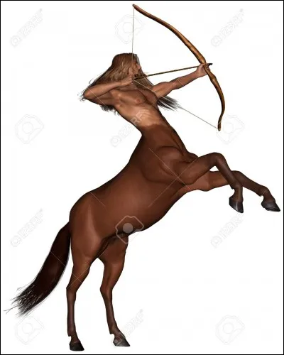 Qui est l'entraîneur des héros ?