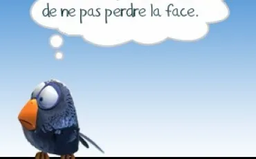 Quiz Insolites