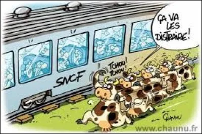 Que ne doit-on pas faire dans un train ?