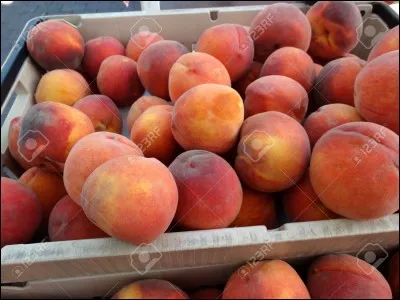 De pêche ou agissant !