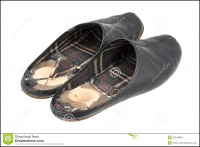 Objet ou animal têtu !