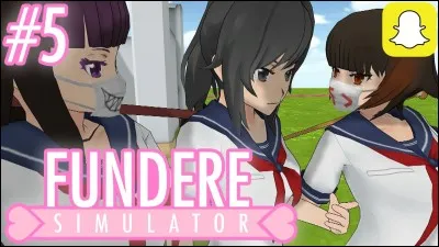 Combien y a-t-il de délinquants en tout ?