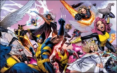 Quelle équipe a été créée en dernier ?