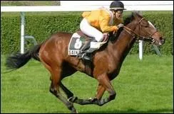 Quelle est cette race?