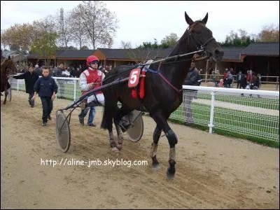 Quelle est cette race?