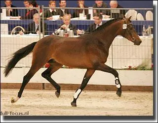 Quelle est cette race?