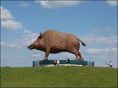 Où peut-on voir ce gigantesque sanglier nommé Woinic ?