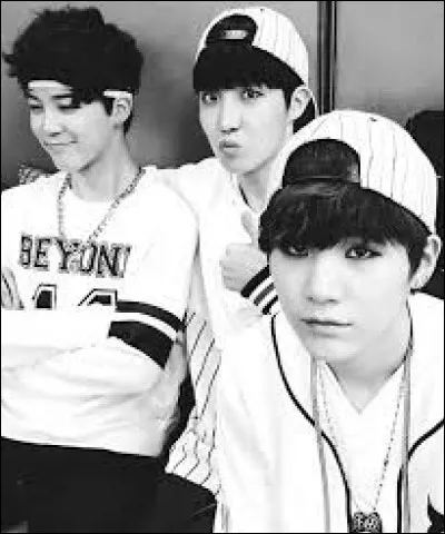 Qui est le plus jeune entre ces trois membres ?