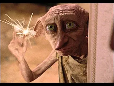 Dans quels livres de la saga apparaissent l'elfe de maison nommé Dobby ?