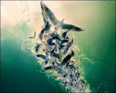 Qui a chant&eacute; "Envole-moi" ?