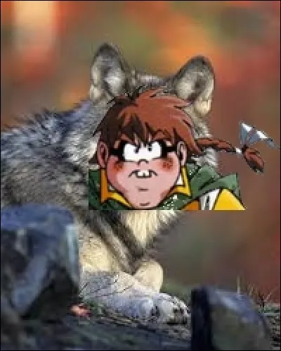 Dans quel Tome Razzia devient-il un loup ?