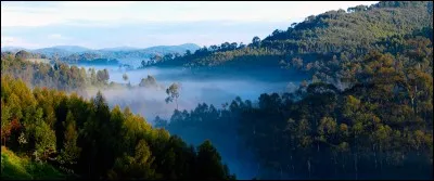 Le Burundi a une frontière avec le Rwanda au nord.