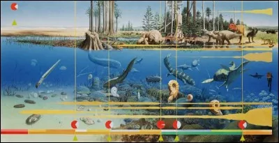 L'____ primaire est aussi appelée "Paléozoïque".