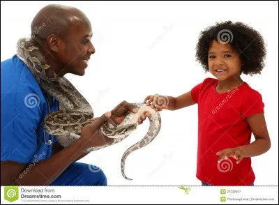 Combien y a-t-il d'écoles pour former les vétérinaires en France ?